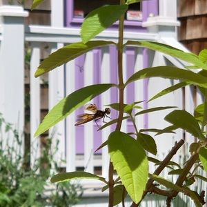 Meet your Posher, Bryn